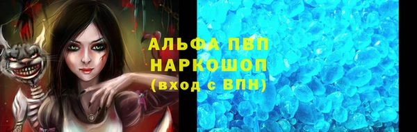 spice Бородино
