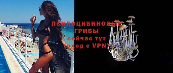 гашиш Богородск