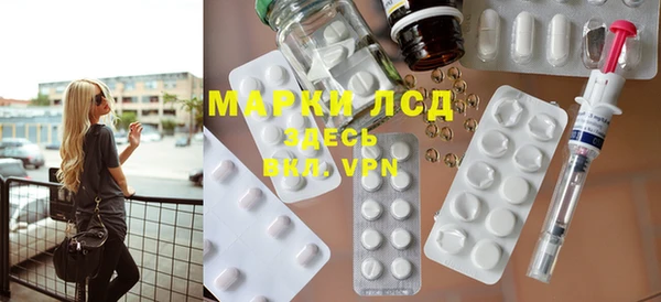 spice Бородино