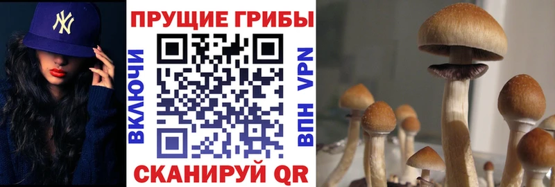 Галлюциногенные грибы ЛСД Купить где Наро-Фоминск