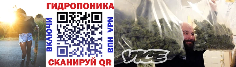 Купить где  Наро-Фоминск  Марихуана семена 